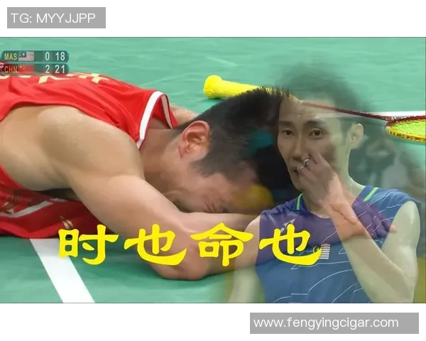 2015中国公开赛李宗伟与谌龙精彩对决视频下载分享